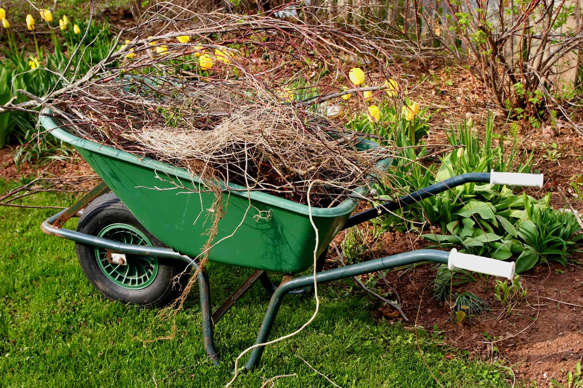 Yard Removal