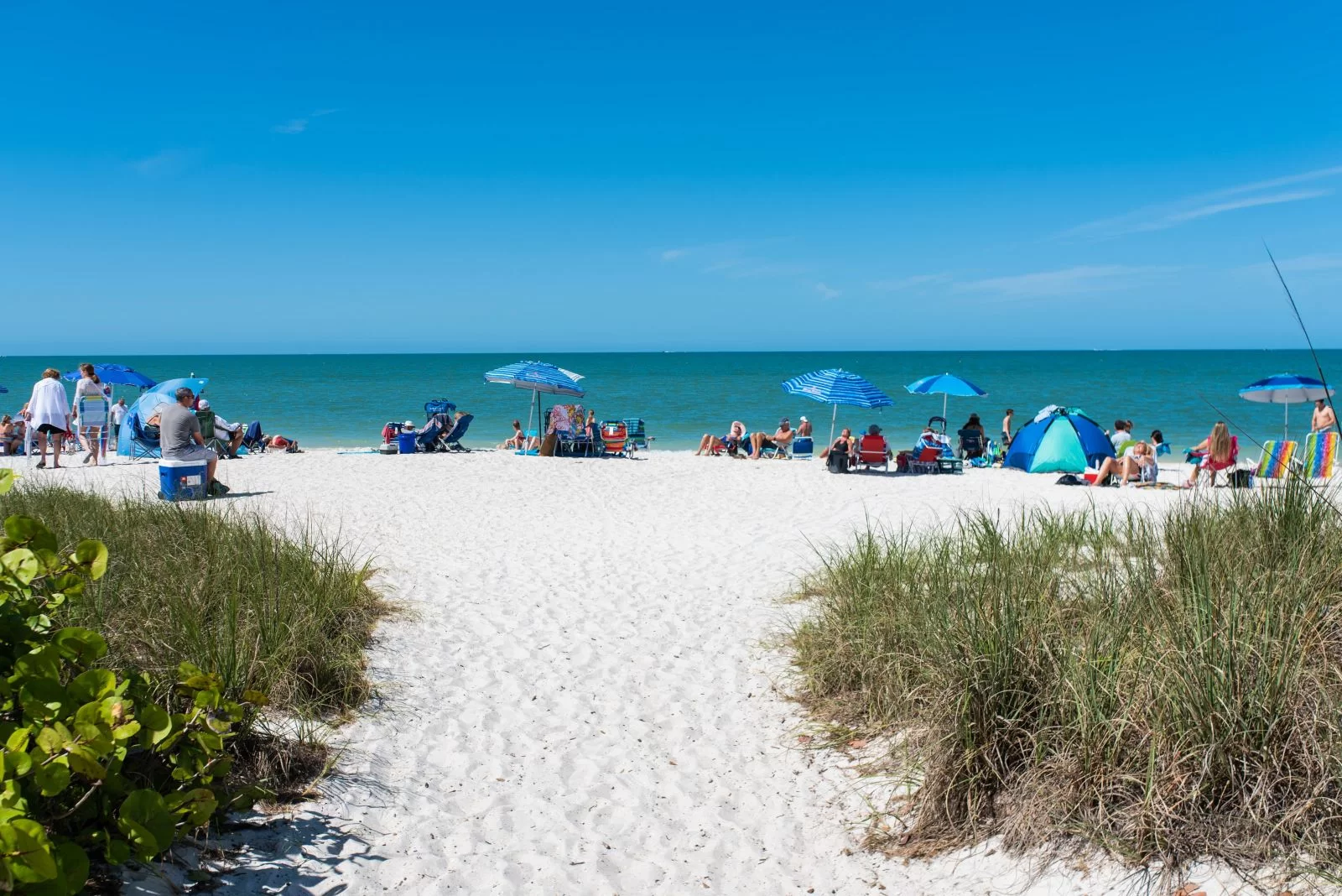 The Top Choice On Anna Maria Island