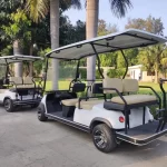 6 Seat Golf Cart Rentals