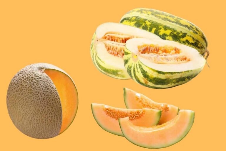 Is Muskmelon And Cantaloupe The Same Thing
