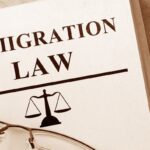 Immigration Lawyer