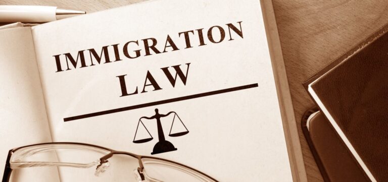 Immigration Lawyer